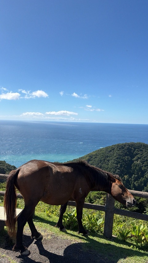 6A9C4018-200C-48DD-BBA7-579675BBA926