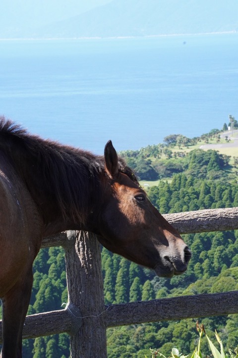 E3719810-1872-4AB3-8999-25FE9FD71BEA