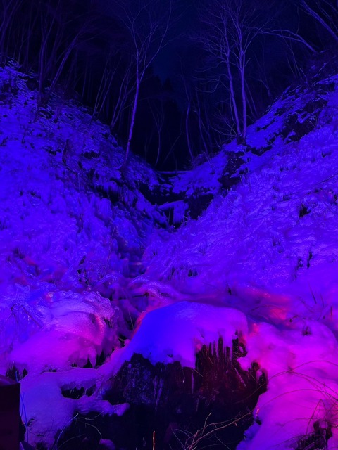 B8D227E4-7399-4155-8308-8921235FC615