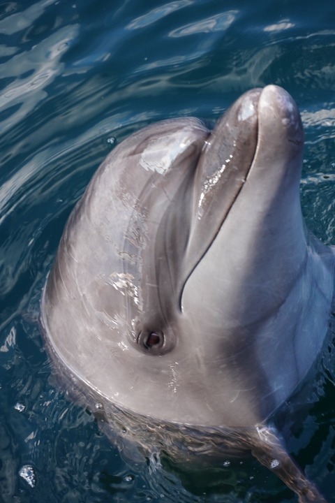 7FA22B51-BB5C-4761-A8E1-EEAD3D804F27