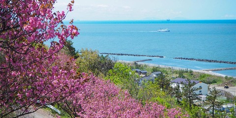 cbc1ddbc-cc6f-46ea-a302-5d205359d2a8