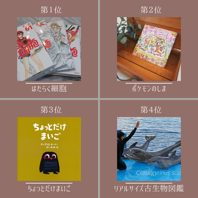 インスタ用ビブリオゲーム