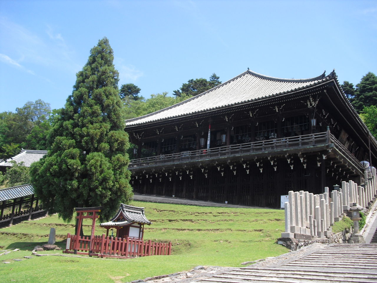 ひとり 奈良 私のリウマチ日記 ひとり 奈良 私のリウマチ日記