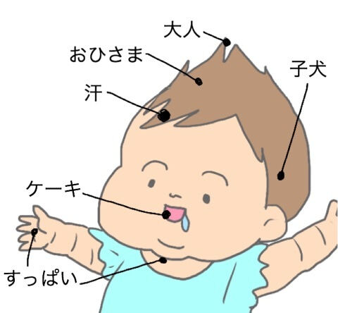 {683211A7-8717-4C38-BB4B-610861BB8D20}