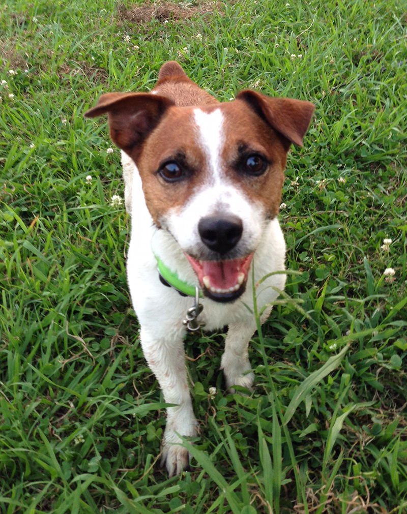 About Rotta ニコマリ二胡弾いてます