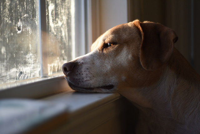 作例集 D750の2400万画素は美しい Nikonデジタル一眼レフ情報