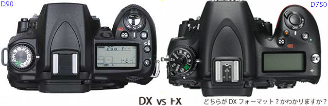 Nikon D750【良品】早い者勝ち/撮影枚数29,691枚 付属品多数あり