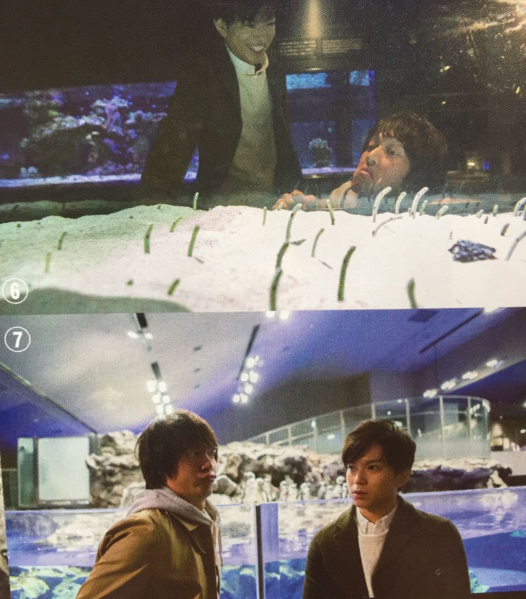 ホシイモノハ にじいろのちいさなしあわせ らぶ丸山隆平