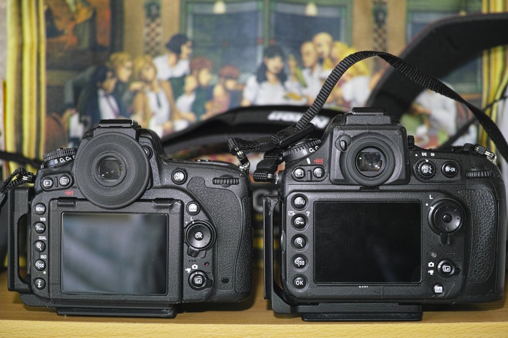 ファインダーを見易く While Feeling In My Heart