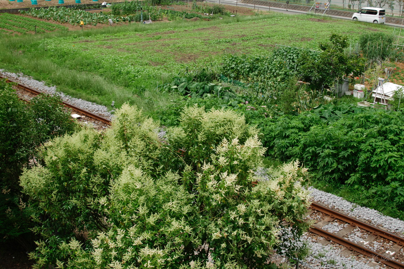 色味のチェック While Feeling In My Heart