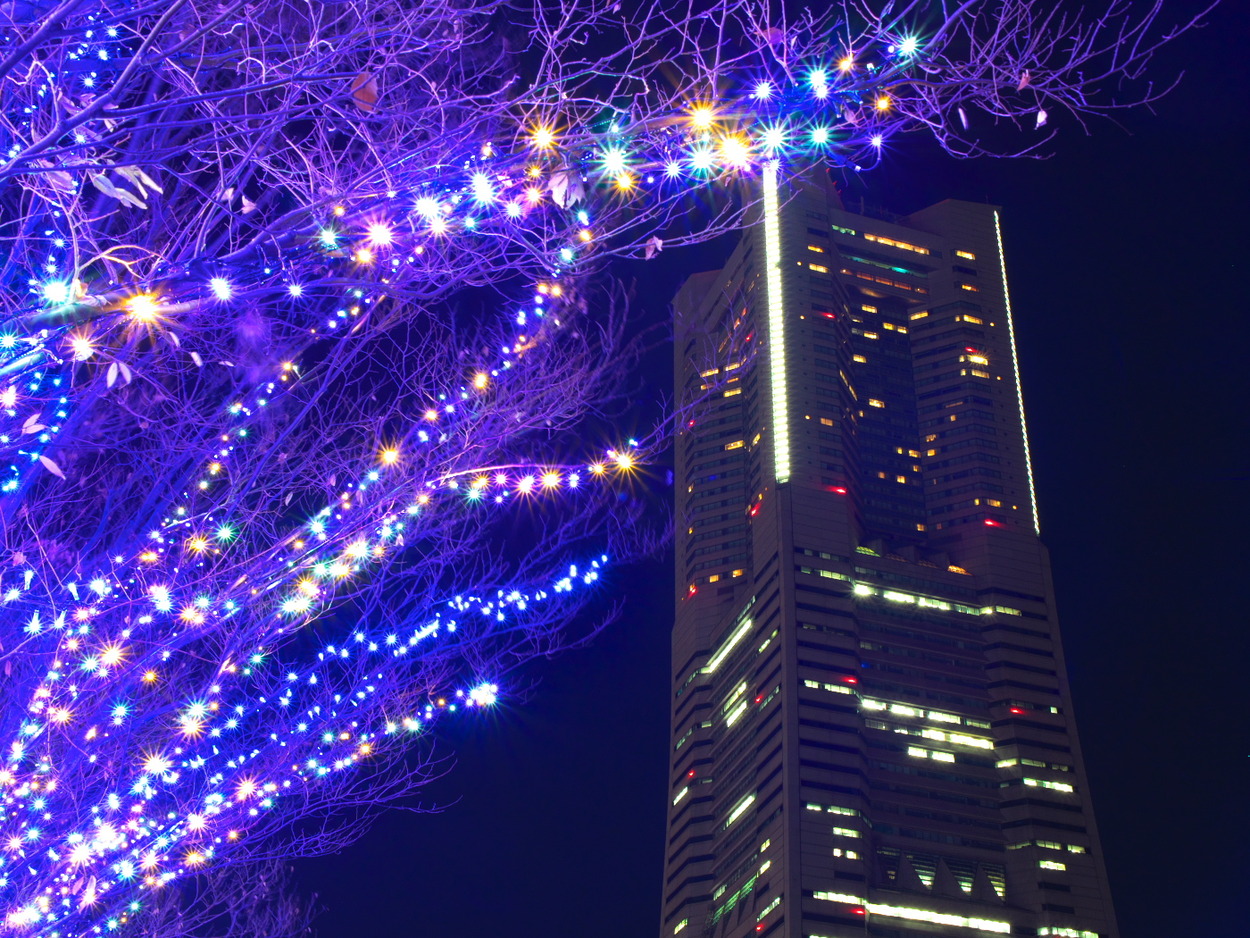 夜景 LUMIX G 25mmF1.7 : While Feeling in My Heart.