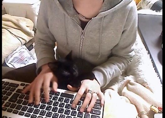 【うらやまけしからん!】パソコン作業中にオマタから邪魔してくる黒猫