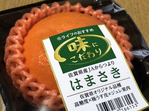 IMG-8655