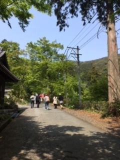 イメージ 5