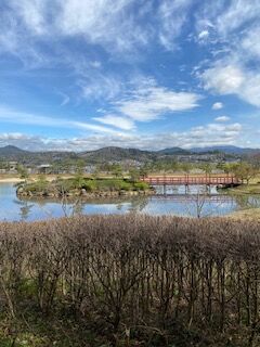 furusato