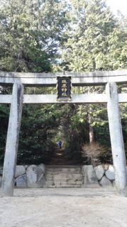 イメージ 6