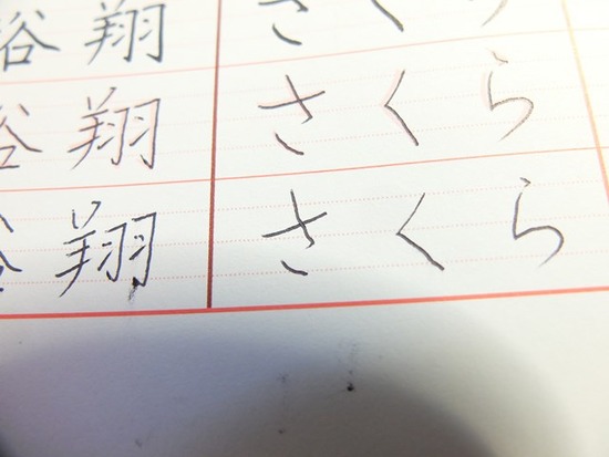 s-DSCF7065