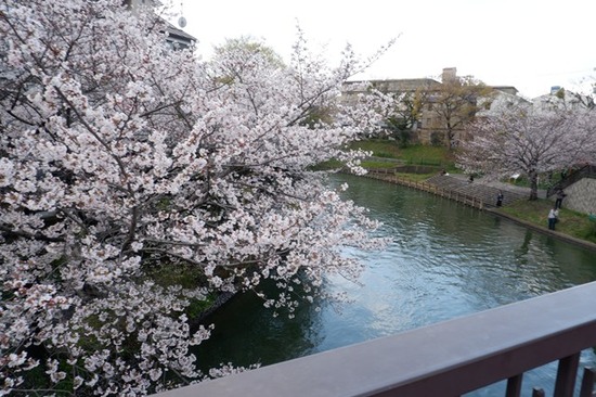 s-DSCF7569