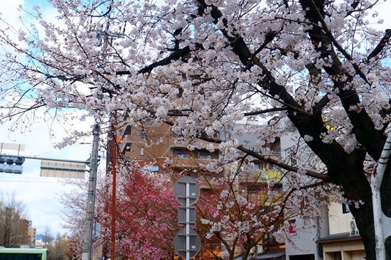 s-DSCF7553