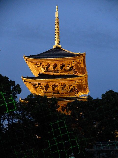 s-DSCF5782