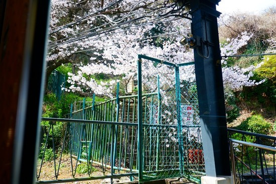 s-DSCF7538