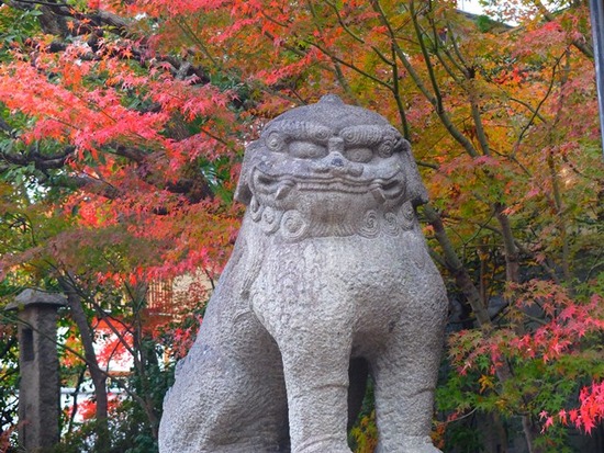 s-DSCF4830