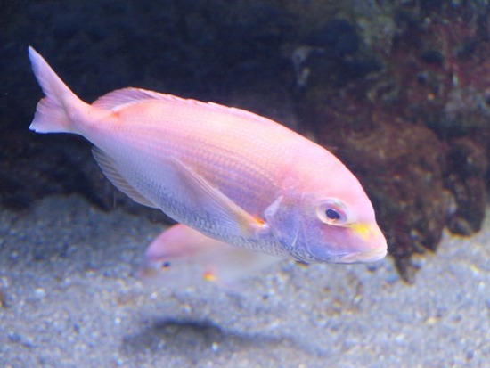 s-DSCF5912
