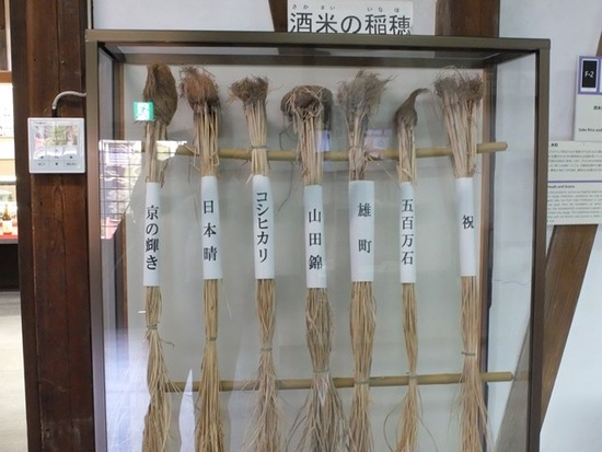 s-DSCF7048