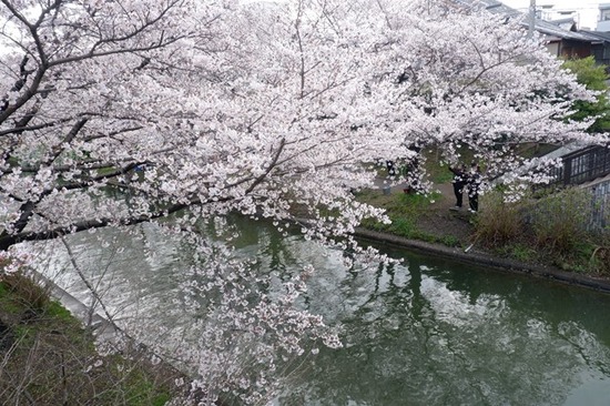 s-DSCF7571
