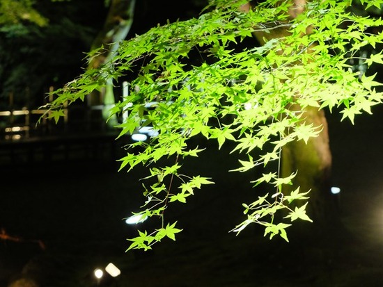 s-DSCF5490