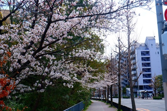s-DSCF7551