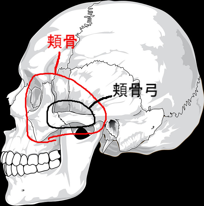 眼窩下神経