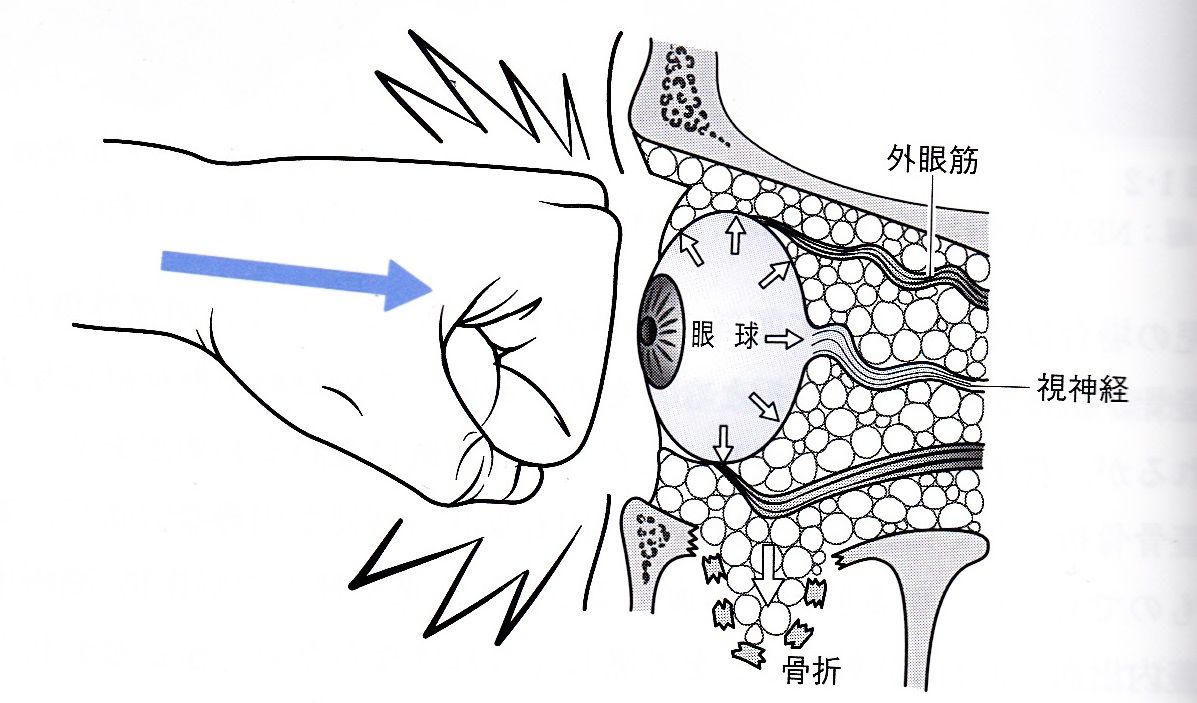 頭部 症状と傷病