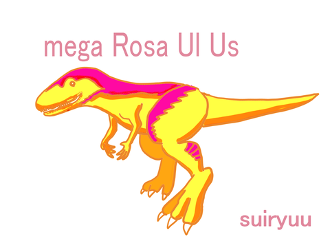 mega Rosa Ul Us