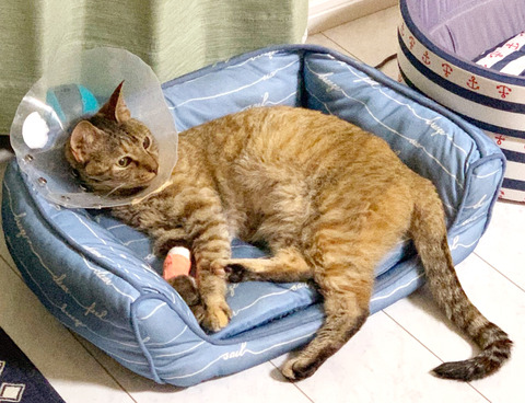 64C75FE9-234C-401D-9085-05CDCBEAFC13