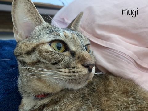 1FBF0B9D-7A0E-4417-8290-E0093019B65E