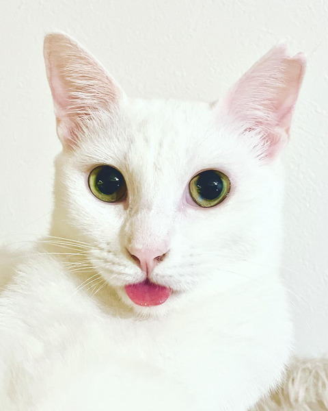 4F71EBE6-E478-400D-83AC-0B4A8C85A306