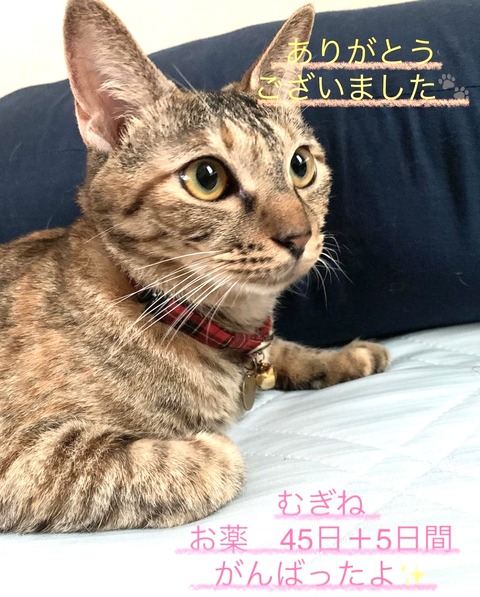 58ABFC40-B21A-48F6-88F0-9B58BC54FC97