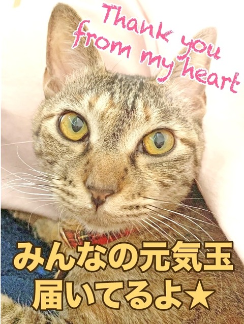 09B884B4-F417-4EF8-8EFE-FB8F34E936E3