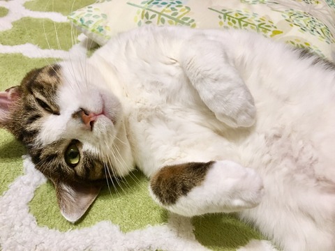 AA349214-3742-4844-96ED-4F4FD697D157