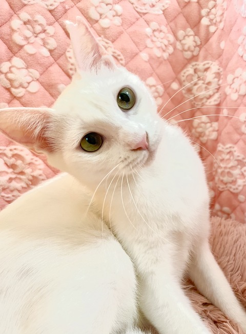 7A754807-13E1-4B50-9F66-3497758EA88A