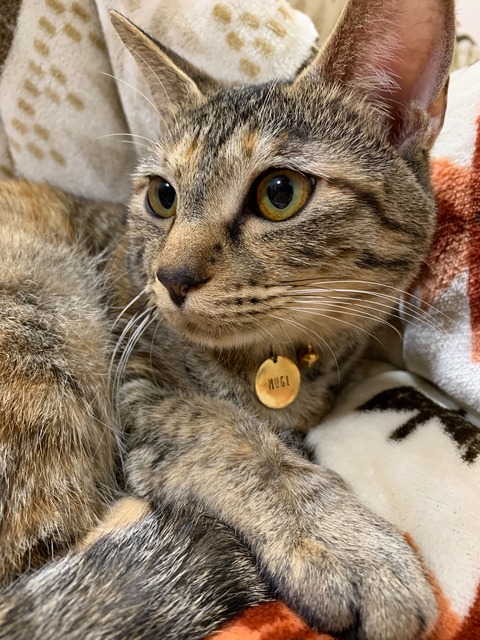 5AA0D47C-6010-47E8-9748-D8971400349C