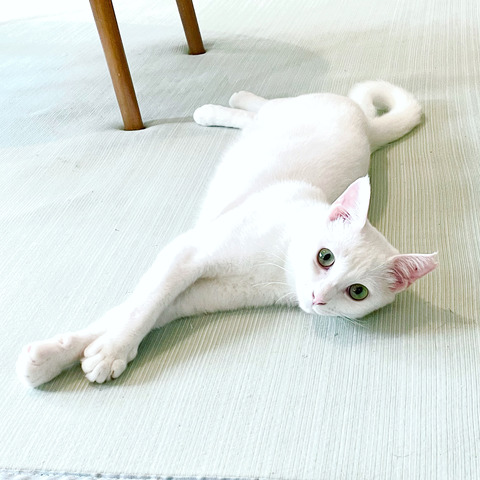 903A86D3-C299-4969-AE2B-CB959CF09EBE