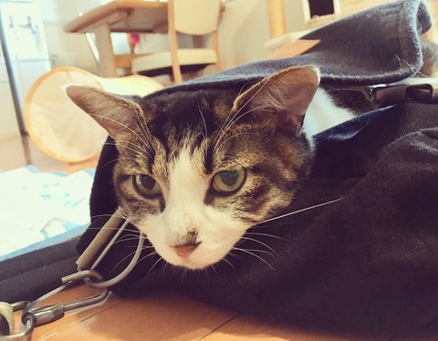 9BDCEE9F-10EF-4293-9FE2-B0C3DA879725