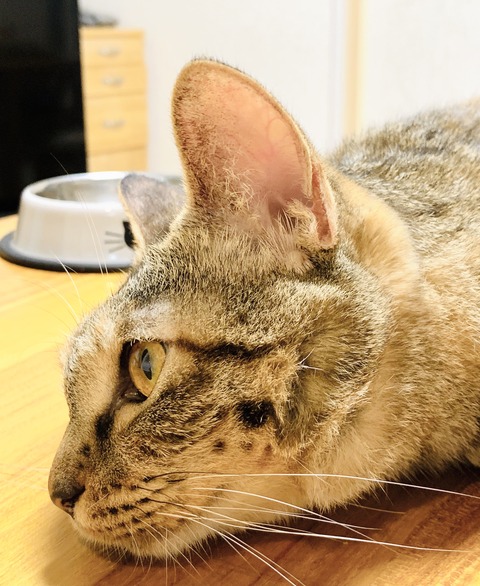 D48824AF-BCE7-41C4-823C-08AE506FE52B