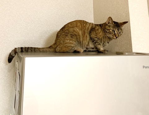 00E32D55-A9F1-4CFF-A834-5C50C8C849E8