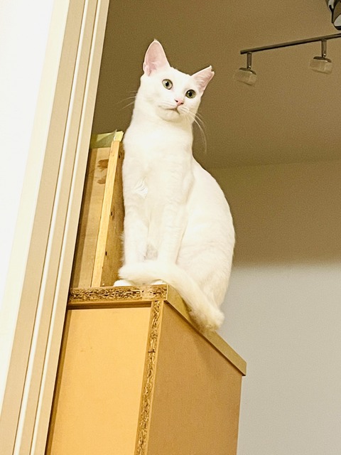 52368DD6-D29C-49BE-99C6-6B9B92A031C7