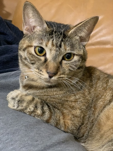 B75AB4F8-5594-44C7-A464-90CF2A57DB2B