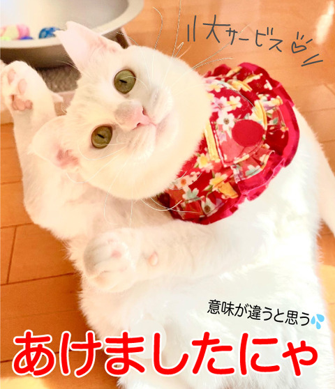 95AE53E4-CAE8-45CA-A3CA-6373601559D2_02