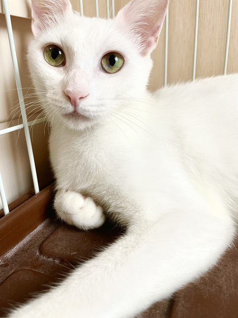 F962F778-2F45-4163-B1D9-750FF3E4E6AB